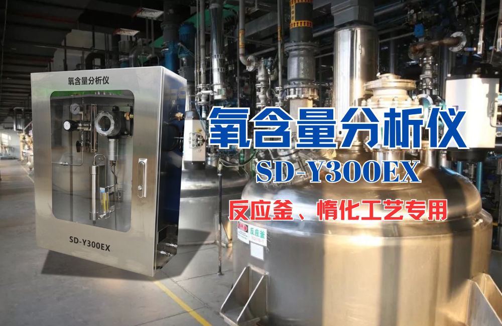 氧含量分析儀精確監(jiān)測:保障反應釜安全與工藝穩(wěn)定的核心舉措.png